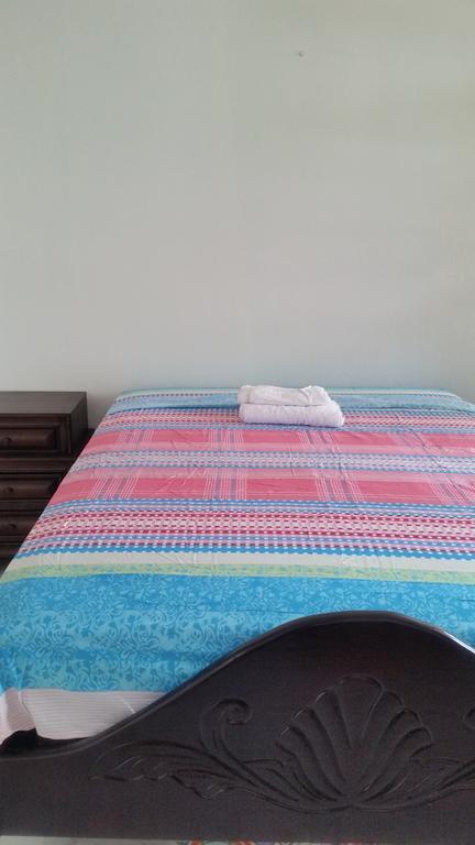 Malia'S New Kgn Apartment Kingston Luaran gambar